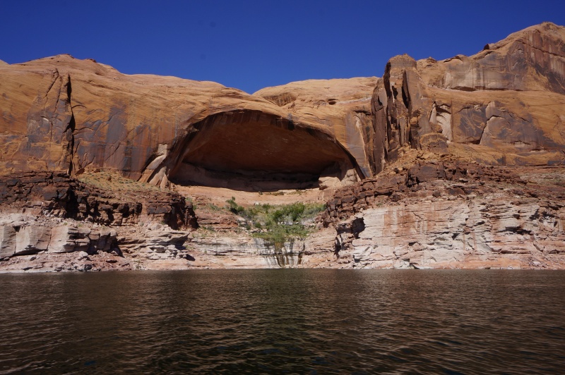 Arch