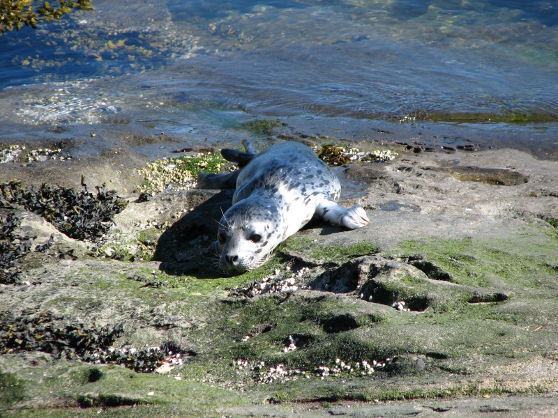at Sucie Marine Pk San Juan Isl