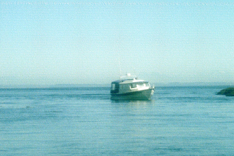 Aug 2006 
Near Matia Island 
   WILD BLUE