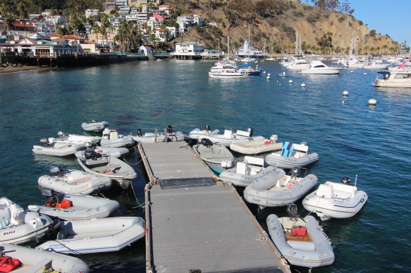 Avalon dinghy dock not as packed as usual with No Limits in the back ground