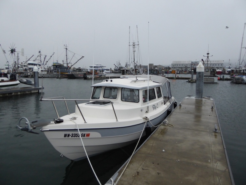 Awoke Sunday morning to snow blowing sideways and howling winds.