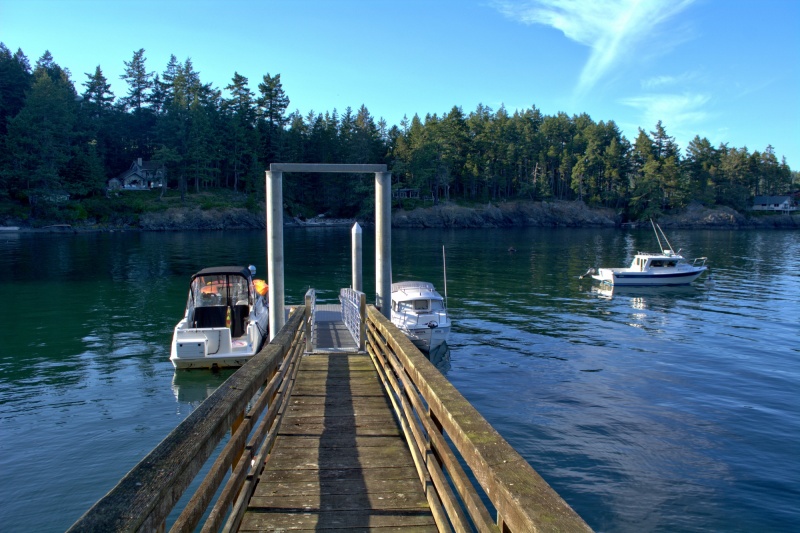 Back at Doe Island Saturday afternoon.  Another boat had joined just before I left on my paddle.