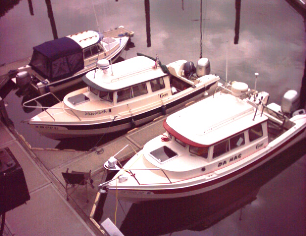 Bambina, Miss Mirth & Da Nag