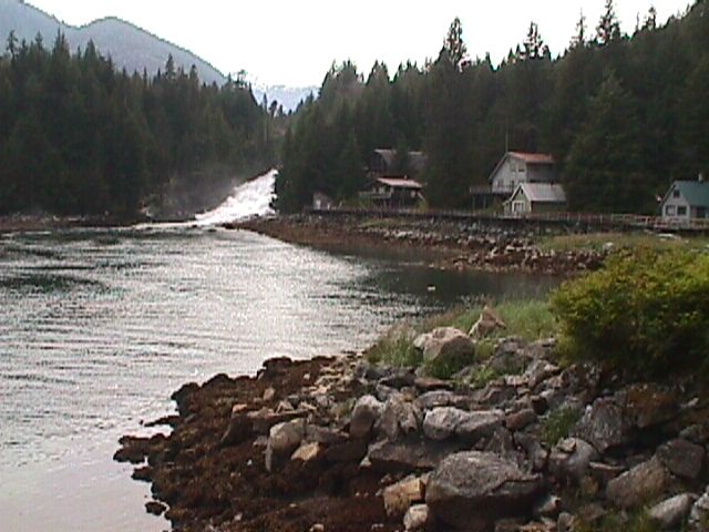 Baranoff Warm Springs (AK 2004)