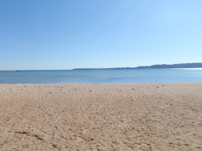 Beach at Bay Suttons MI