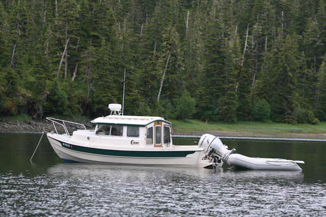 Bearbait? at anchor