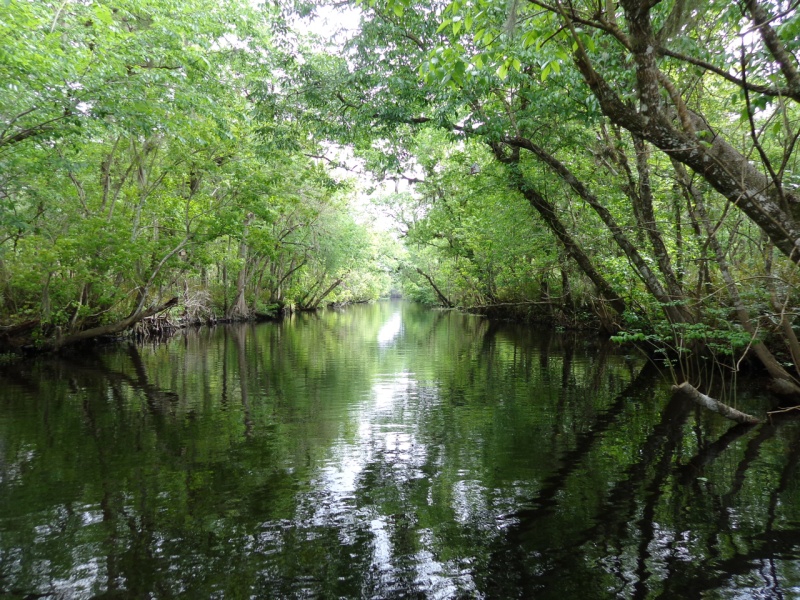 Beautiful unspoiled Florida.