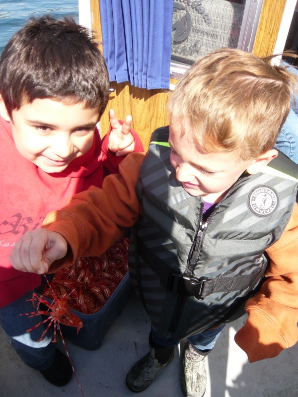 ben and orin 2014 shrimp