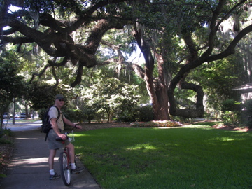biking St Simons, Ga