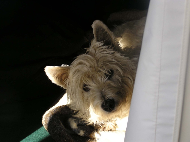 (BlackNorth) Mixie on \"L F or D\"