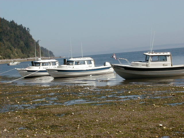 Blue-C,Tyboo,& the SENSEI