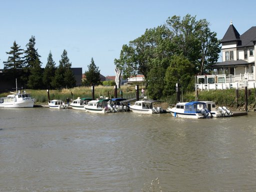 C-Brat lineup at Petaluma