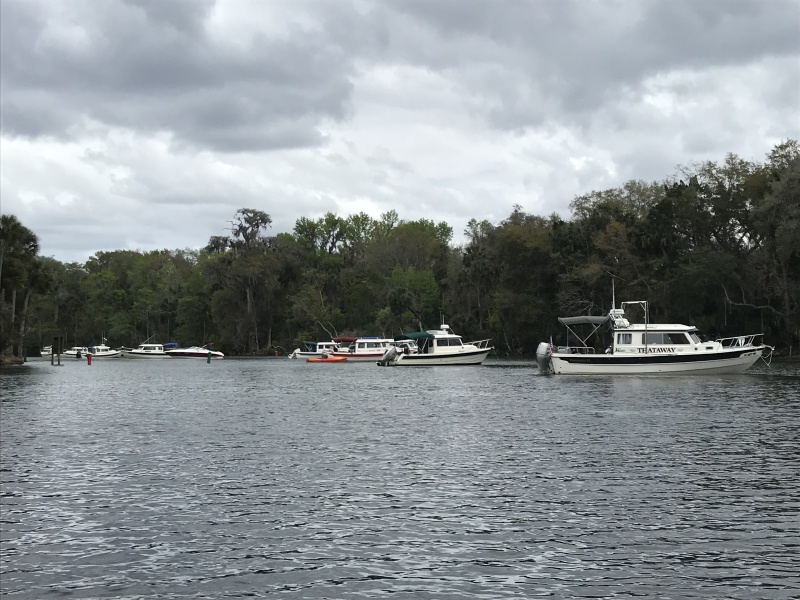 C-Brats anchored in Silver Glen Springs