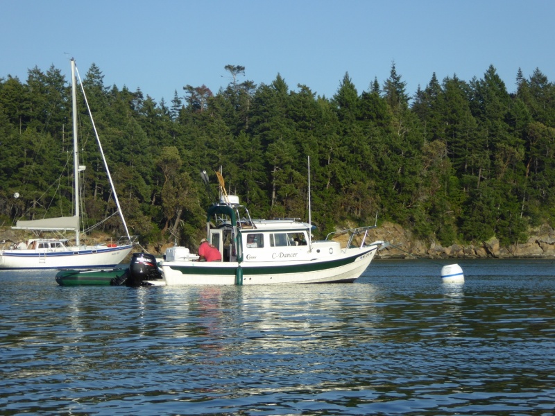 C-Dancer in Shallow Bay