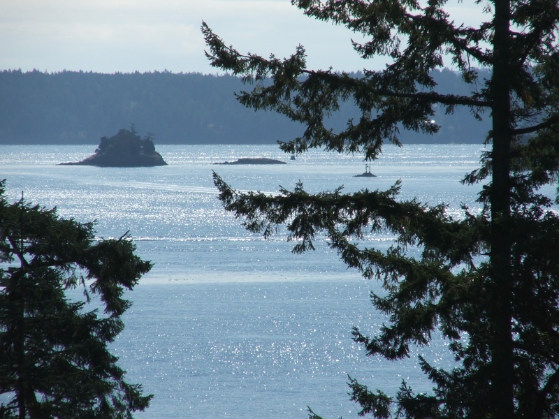 (c-dancer) View from Deer Harbor, Orcas Island
