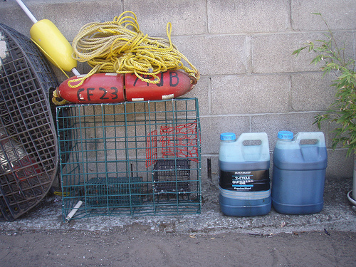C-Dory Classic. OIL and Crab Pot ( cage )