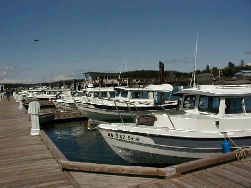 C-Dorys as far as you can see