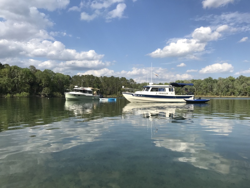 C Traveler and Mystery Girl anchored in Salt Springs