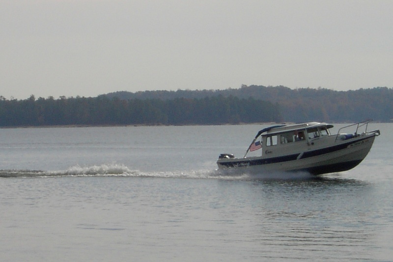 (C-WEED) Lightly loaded.