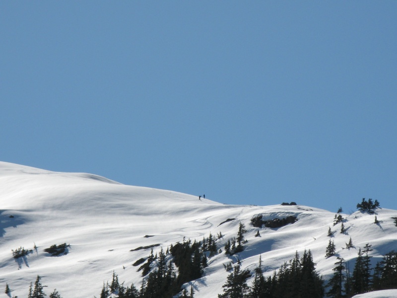 C-Worthy Skiing