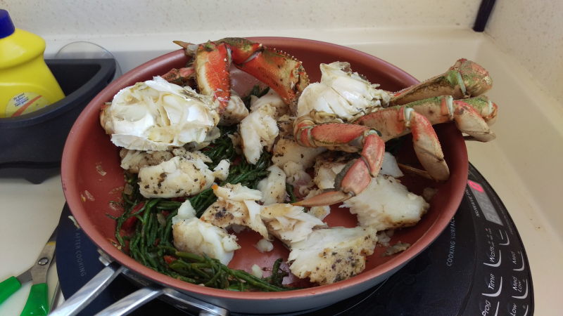 Cathy picked some sea asparagus when we were anchored. Together with fresh crab and ling cod. All cooked on the induction cooktop. Yummy!