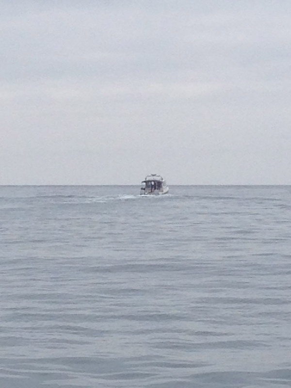 Chasing down a Tomcat