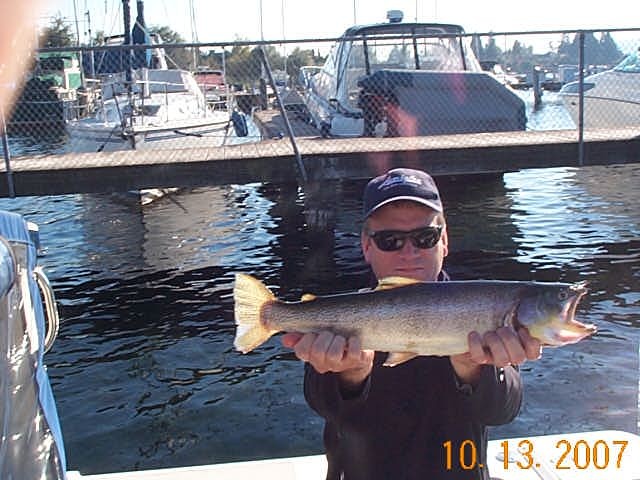 Chunky cutthroat with shoulders