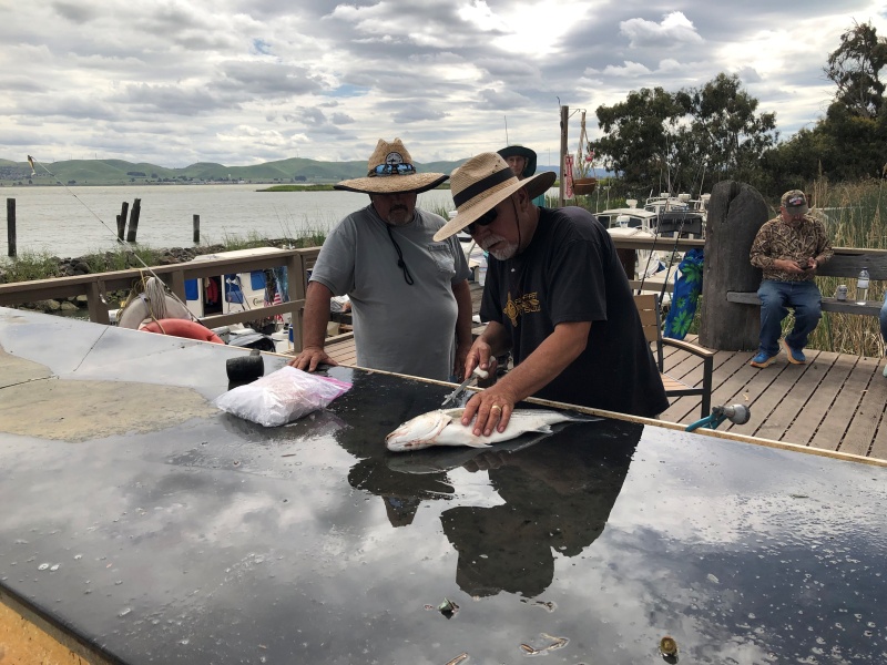 Cleaning the catch