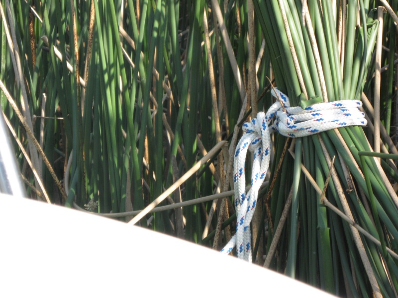 Close up of Tule tie.