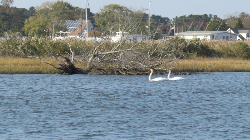 Coming Tuckertown creek ran 95 miles today from the Statue Of Liberty Sheltered Harbor Marina Tuckertown N.J. 33 gallons of gas getting right around 3 mpg