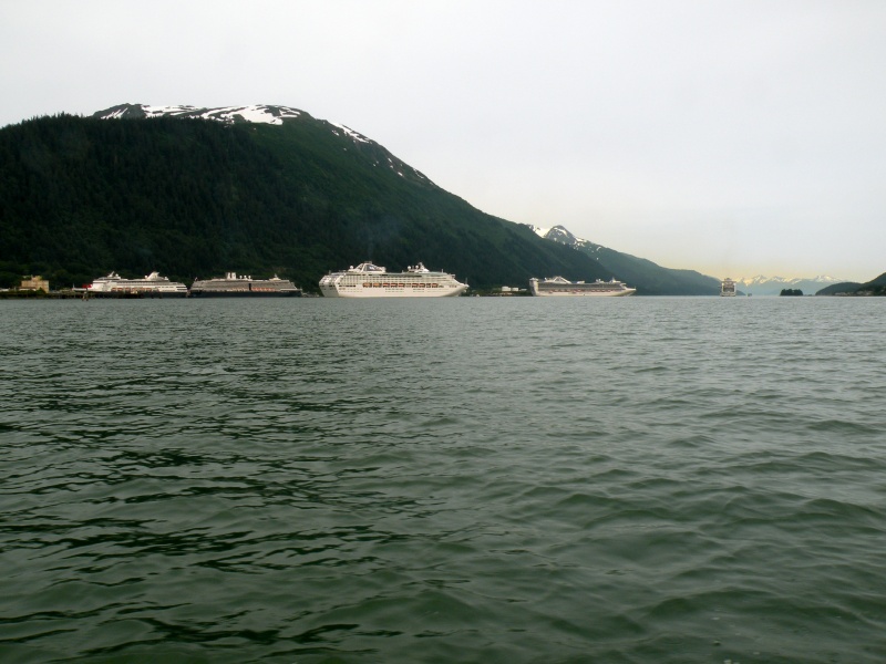 Cruise ship invasion
