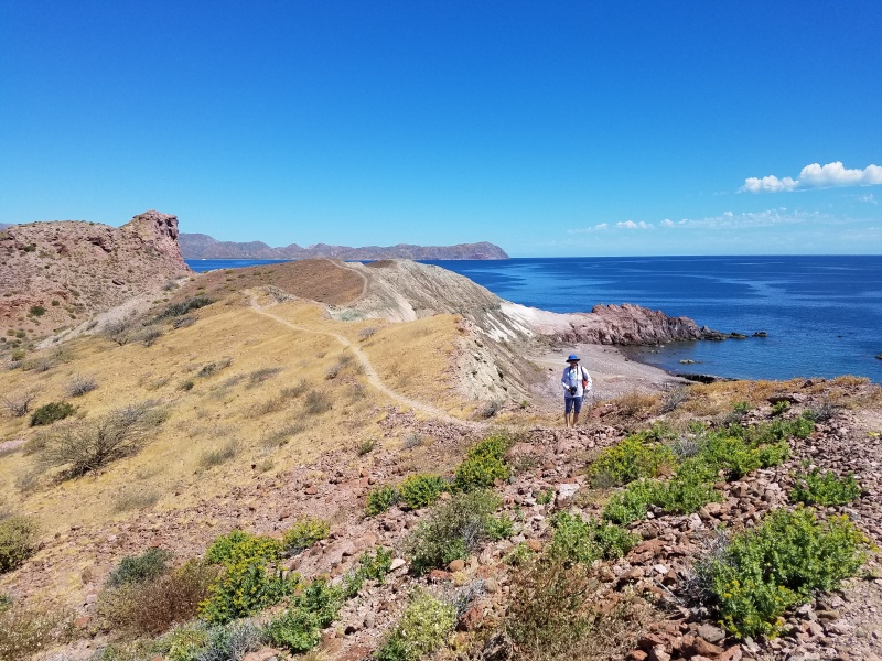 Dana and I had a nice hike along the ridge on Isla San Francisco.