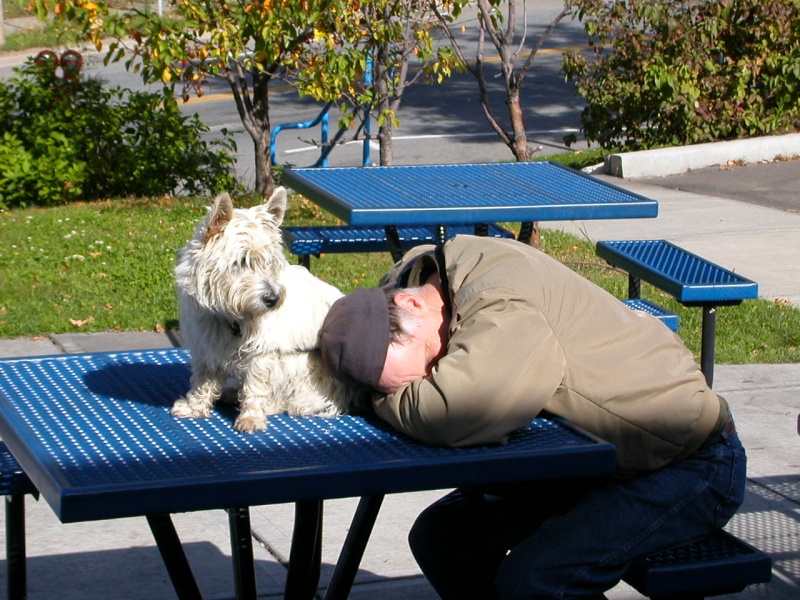 Dave and Mixie regretting last night's spare ribs