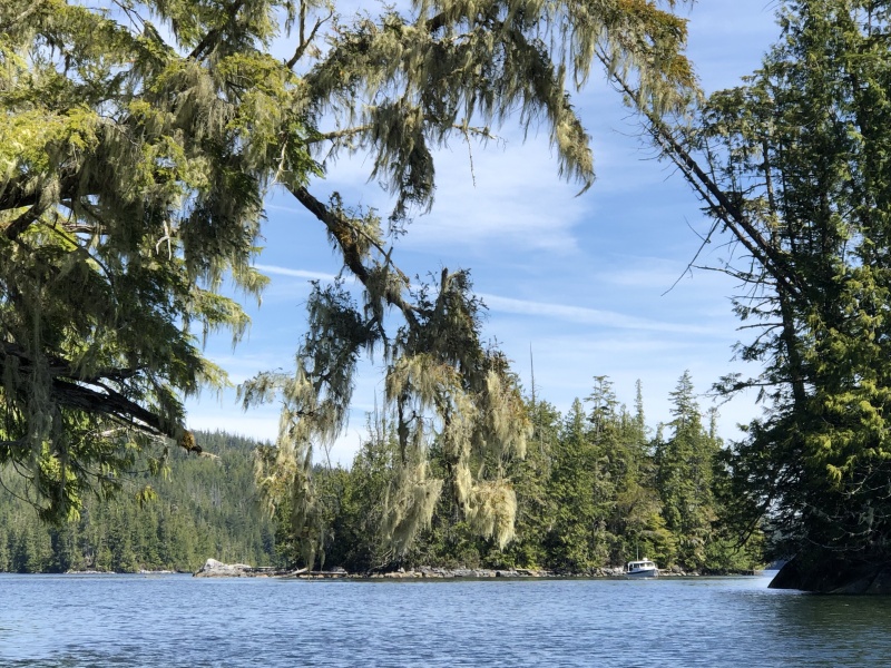 DayBreak tucked into Muirhead Is