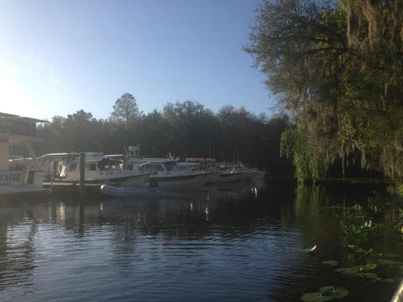 Dingy view on the west side.