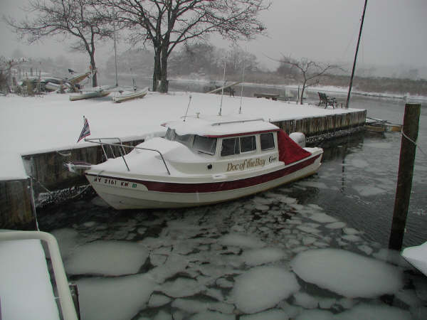 Doc of the Bay, after a snow storm