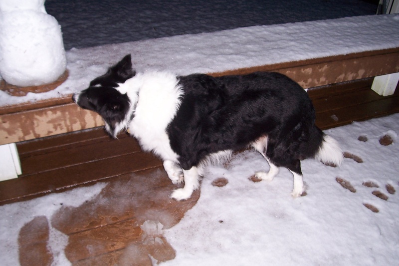 Don't eat yellow ...