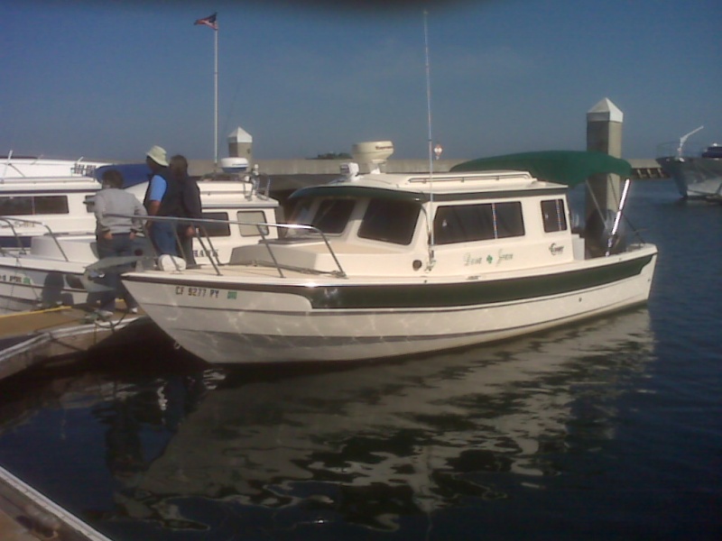 "Dora~Jean" relaxing in the rare sunshine at South San Francisco Marina