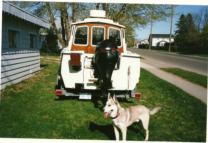 *Drifter* all cleaned and waxed 2010,stray dog dropped in to get his photo taken*