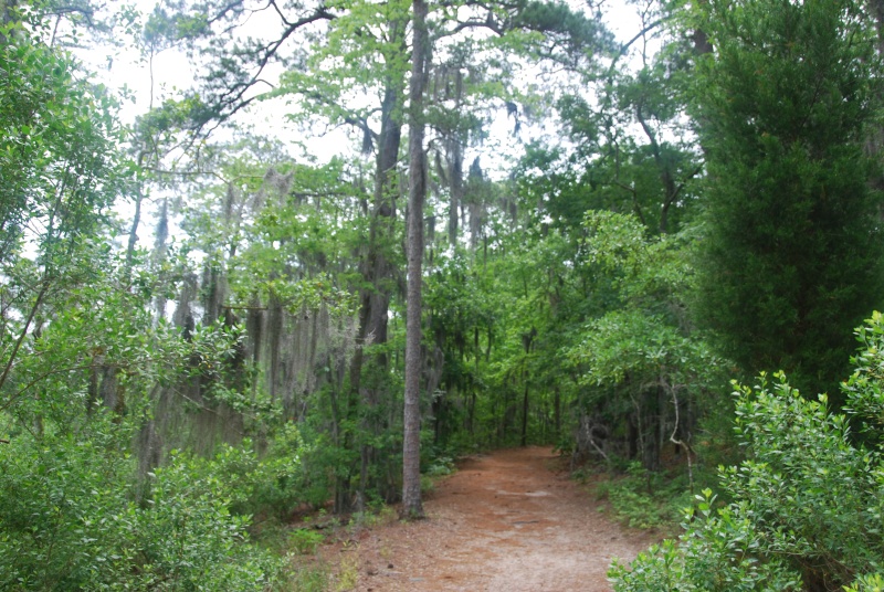 DSC 0008 0529 1133