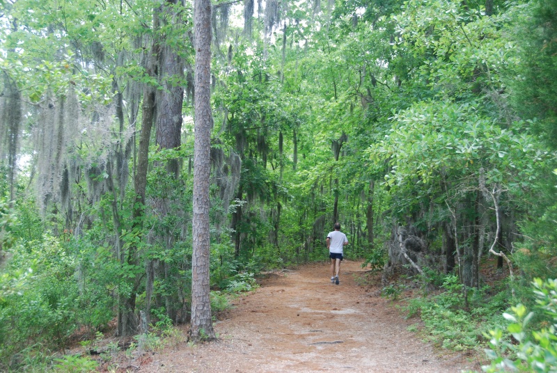 DSC 0009 0529 1134