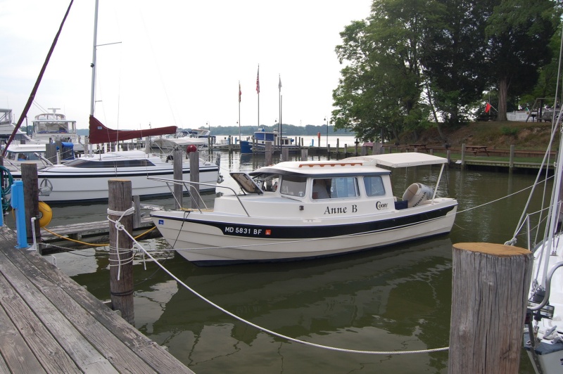DSC 4219 B
