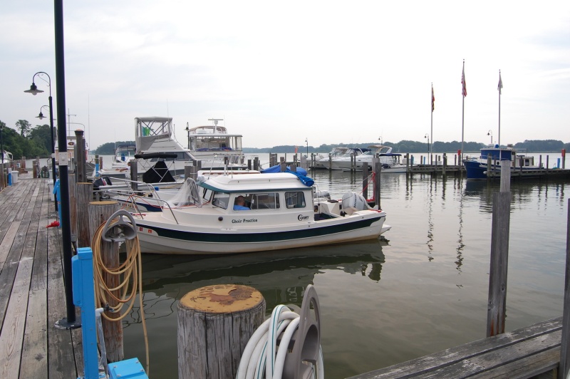 DSC 4220 B