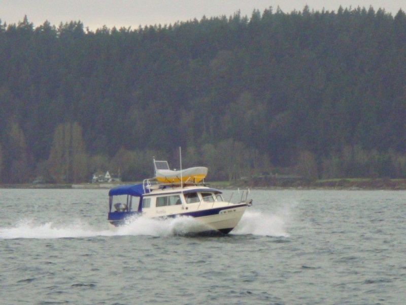 DSC02131