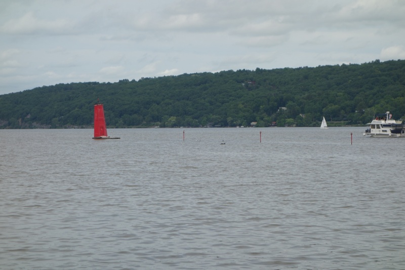 DSC04731