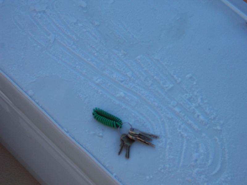 Early morning frost on cooler cushion.