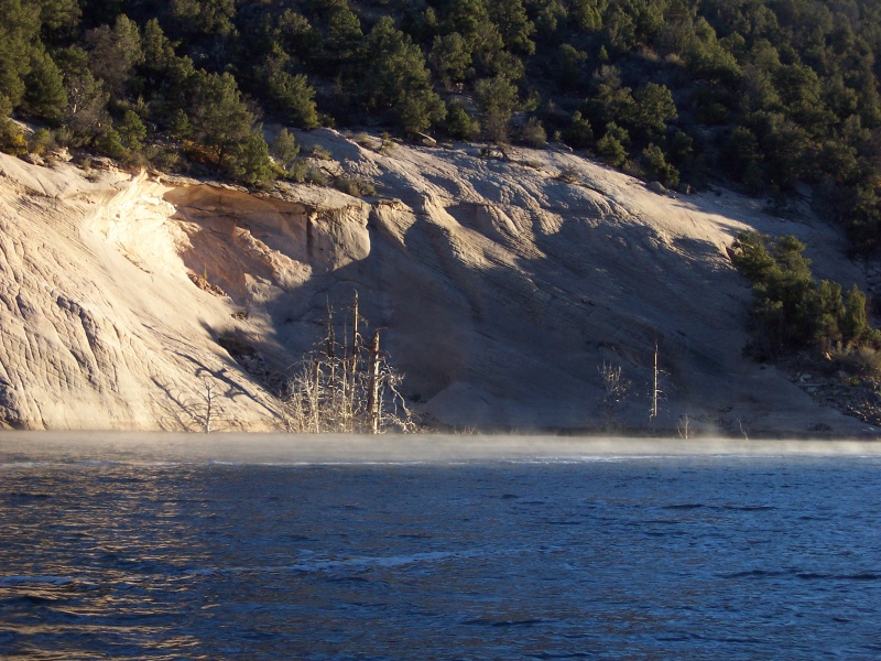 Early morning mist in Beaver Creek.