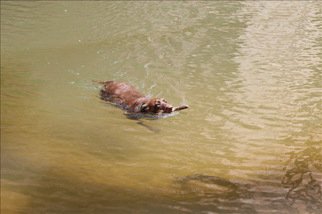 Elimae doing what she does