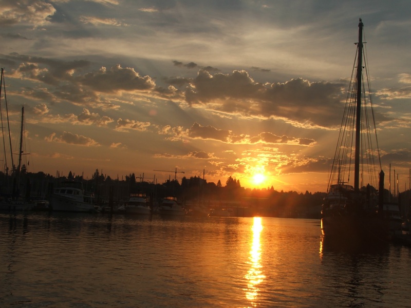 Everett Marina Dawn