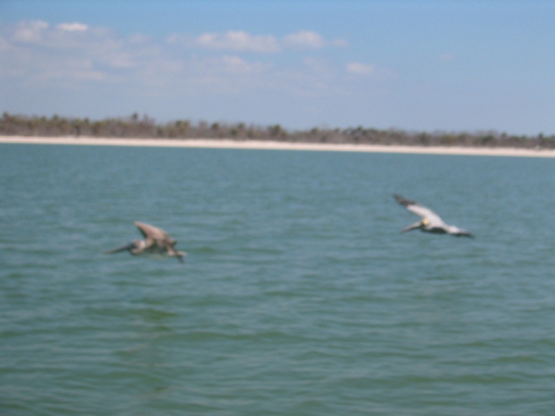 Everglades National Park